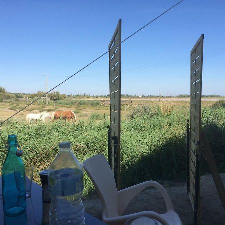 En Camargue Daire Salin-de-Giraud Dış mekan fotoğraf