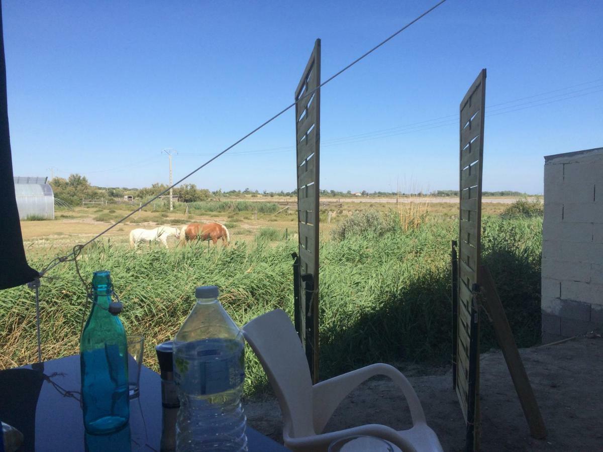 En Camargue Daire Salin-de-Giraud Dış mekan fotoğraf
