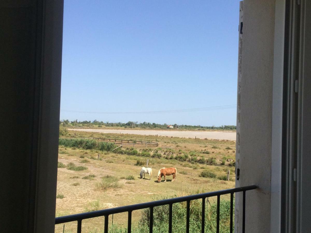 En Camargue Daire Salin-de-Giraud Dış mekan fotoğraf