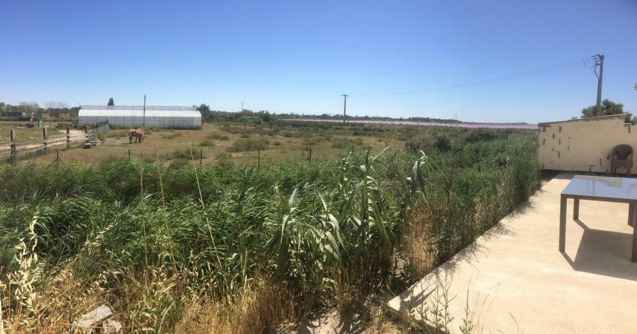 En Camargue Daire Salin-de-Giraud Dış mekan fotoğraf