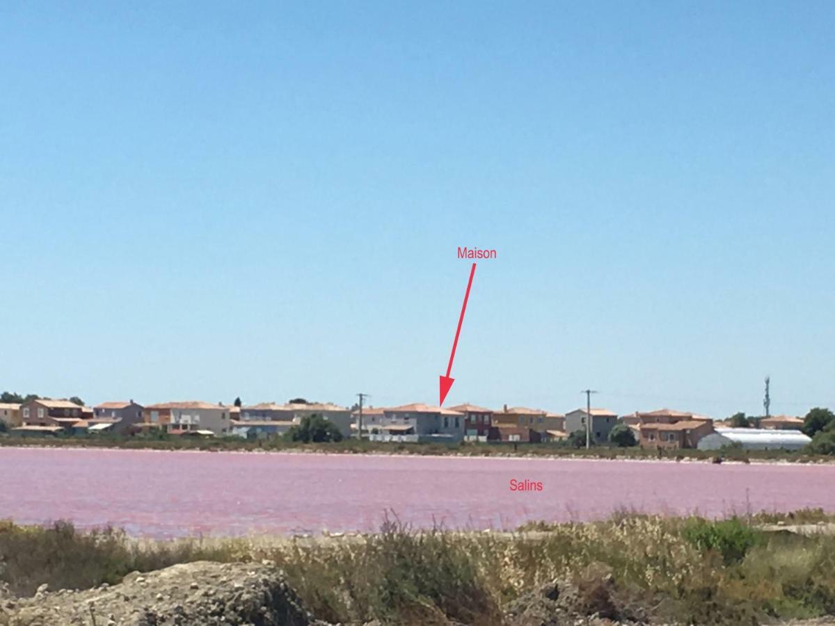 En Camargue Daire Salin-de-Giraud Dış mekan fotoğraf