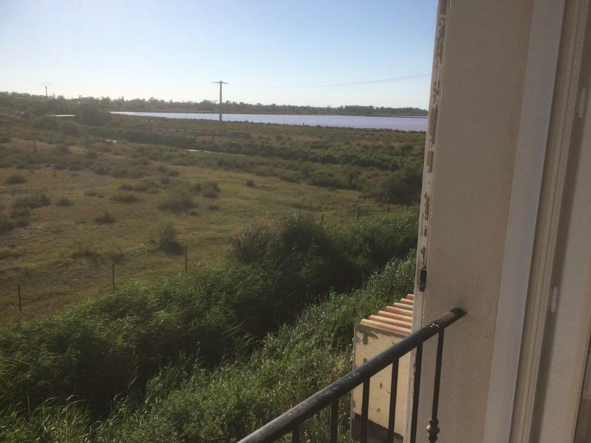 En Camargue Daire Salin-de-Giraud Dış mekan fotoğraf